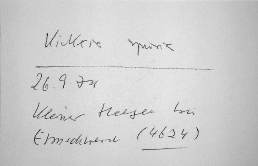 Handschrift Wolfgang Ludwig