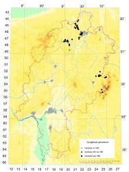 Punktverbreitung in Hessen